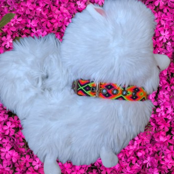 New Dog Collar - Picture 1 of 7